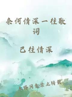 奈何情深一往歌词小说封面 奈何情深一往歌词
