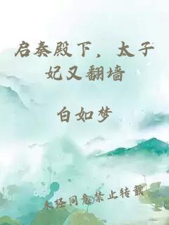 启奏殿下，太子妃又翻墙