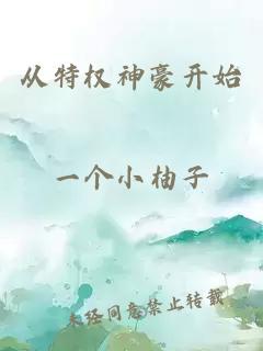 从特权神豪开始