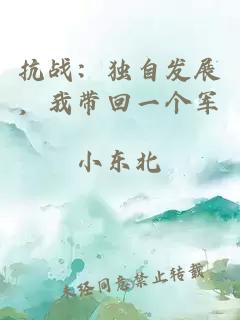 抗战：独自发展，我带回一个军