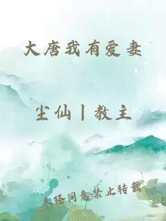 大唐我有爱妻
