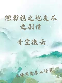 综影视之炮灰不走剧情