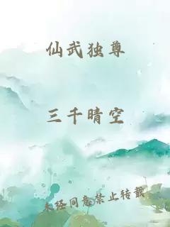 仙武独尊