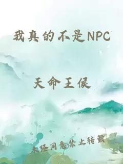 我真的不是NPC
