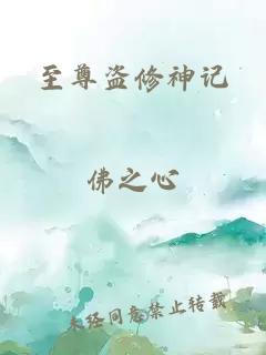 至尊盗修神记