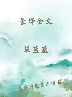 豪婿全文