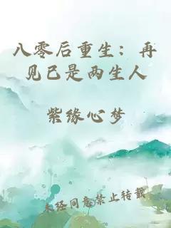 八零后重生：再见已是两生人