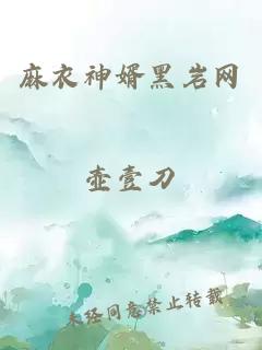 麻衣神婿黑岩网