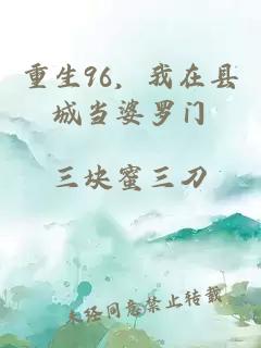 重生96，我在县城当婆罗门