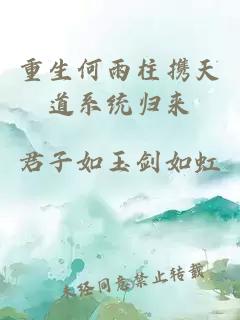重生何雨柱携天道系统归来