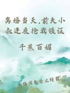 离婚当天,前夫小叔连夜抢我领证