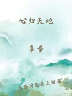 心归天地
