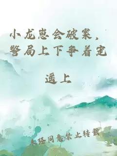 小龙崽会破案，警局上下争着宠