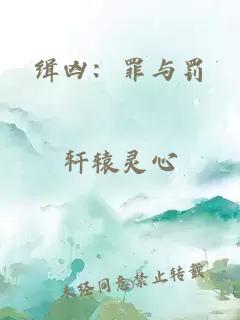 缉凶：罪与罚
