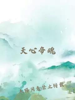 天心帝魂