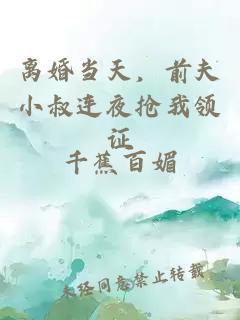 离婚当天，前夫小叔连夜抢我领证