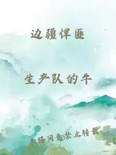 边疆悍匪