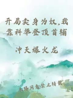 开局卖身为奴,我靠科举登顶首辅