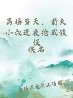 离婚当天，前夫小叔连夜抢我领证
