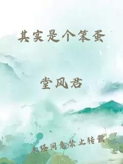 其实是个笨蛋