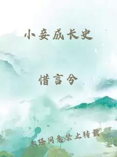 小妾成长史