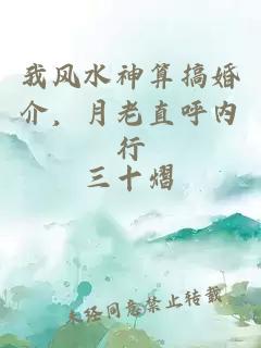 我风水神算搞婚介,月老直呼内行