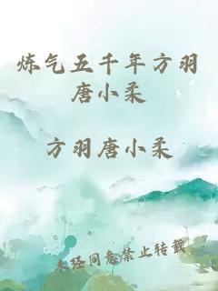 炼气五千年方羽唐小柔